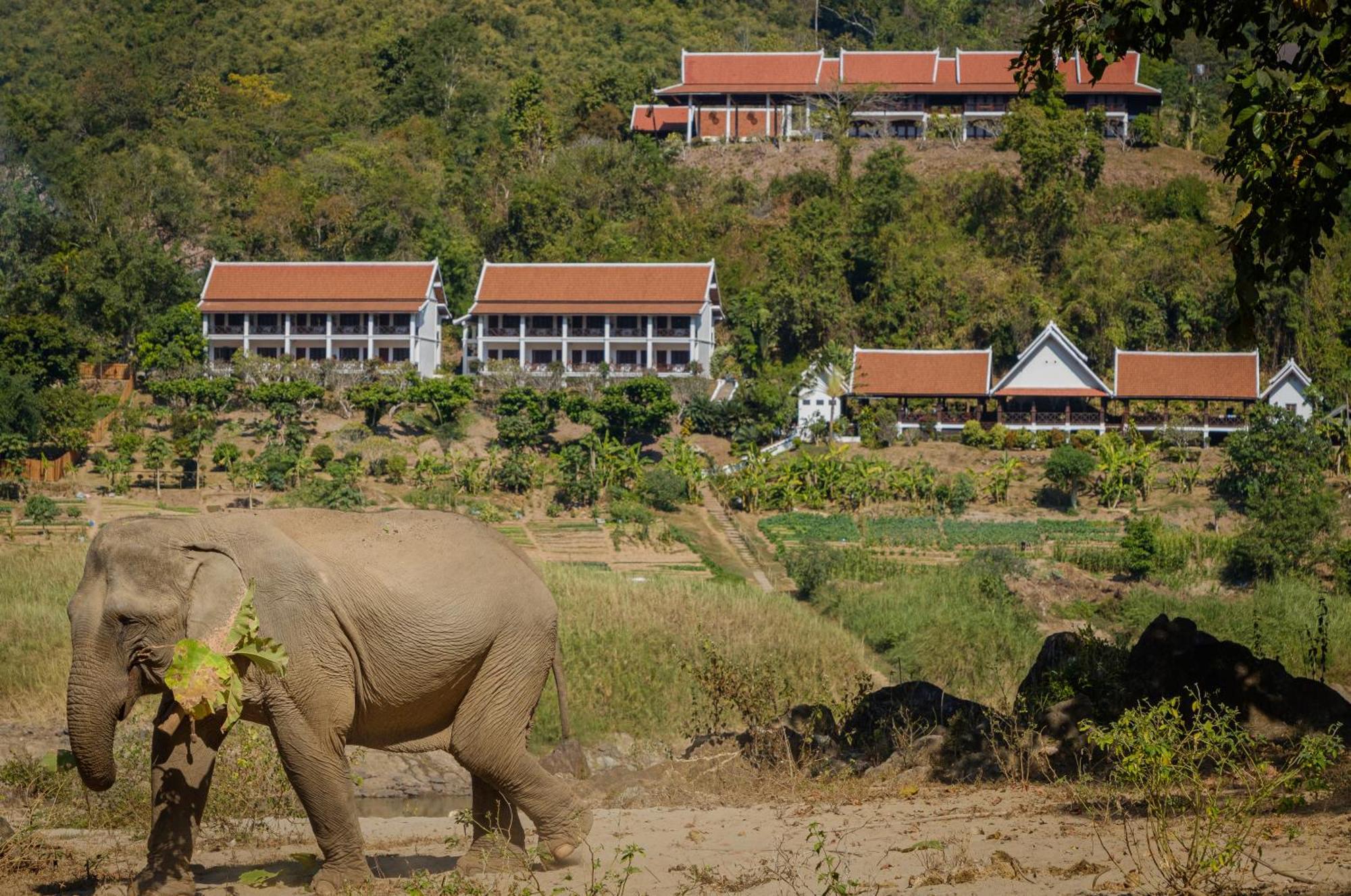 The Sanctuary Pakbeng Lodge ภายนอก รูปภาพ