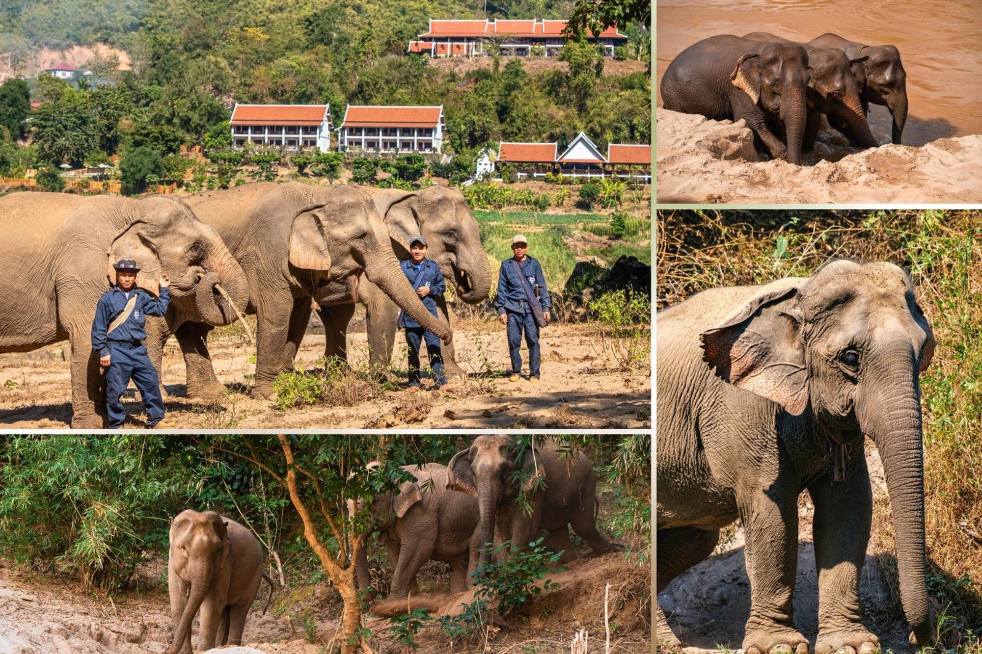 The Sanctuary Pakbeng Lodge ภายนอก รูปภาพ