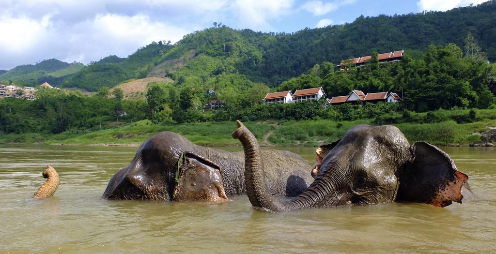The Sanctuary Pakbeng Lodge ภายนอก รูปภาพ